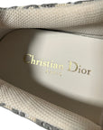 Christian Dior | Oblique Grey Solar Sneakers